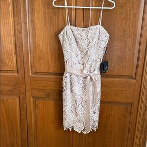 Adrianna Papell Blush Lace - spaghetti strap or wear Strapless Sheath Dress